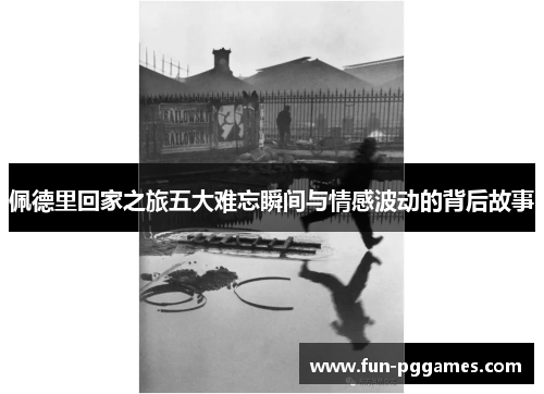 佩德里回家之旅五大难忘瞬间与情感波动的背后故事