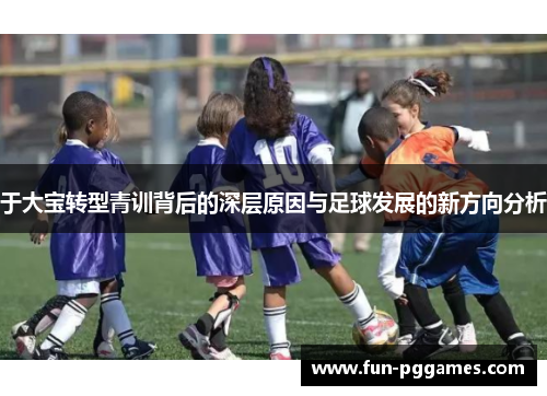 于大宝转型青训背后的深层原因与足球发展的新方向分析