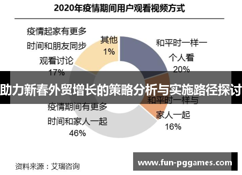 助力新春外贸增长的策略分析与实施路径探讨