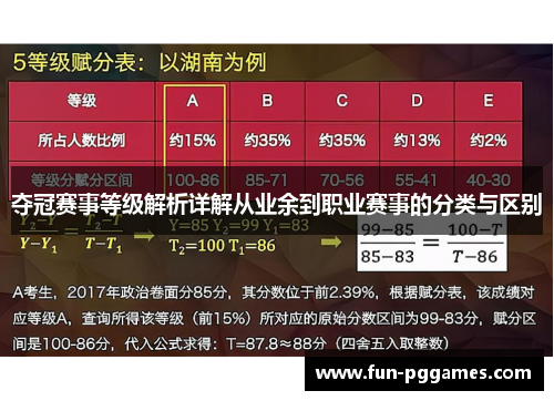 夺冠赛事等级解析详解从业余到职业赛事的分类与区别