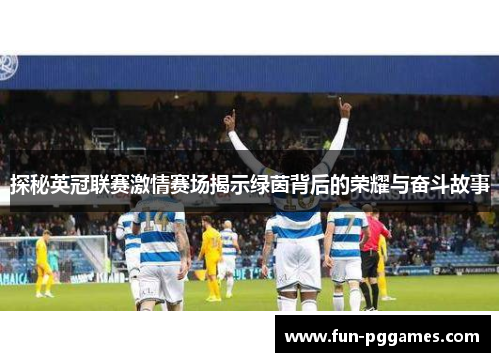 探秘英冠联赛激情赛场揭示绿茵背后的荣耀与奋斗故事