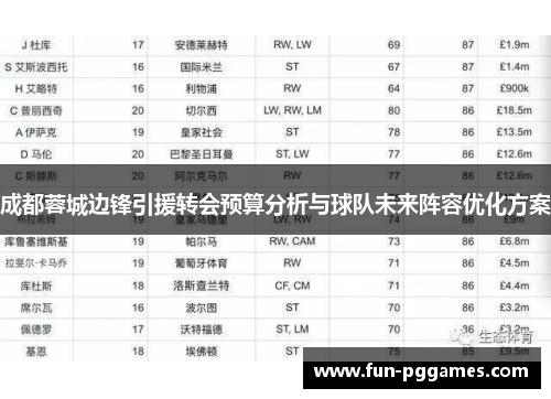 成都蓉城边锋引援转会预算分析与球队未来阵容优化方案