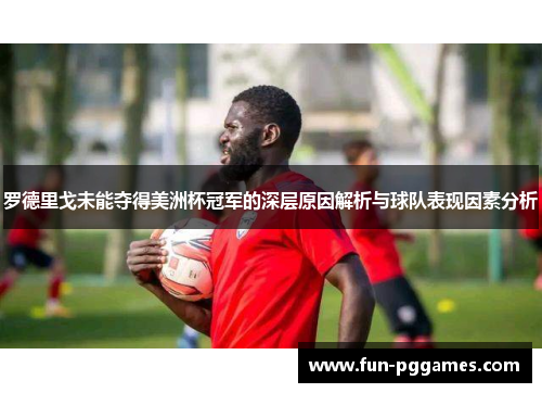 罗德里戈未能夺得美洲杯冠军的深层原因解析与球队表现因素分析
